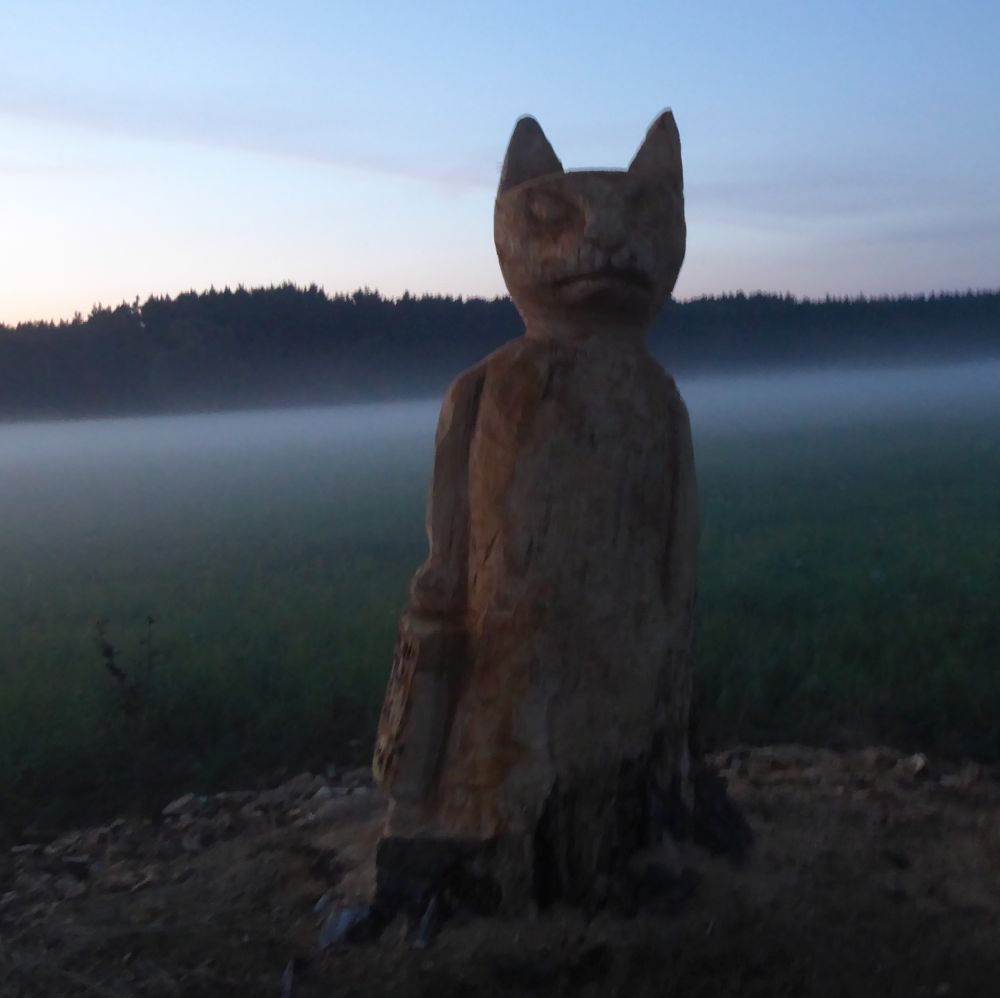 Gemeinschaftsprojekt, fremd bin ich eingezogen, Pappel